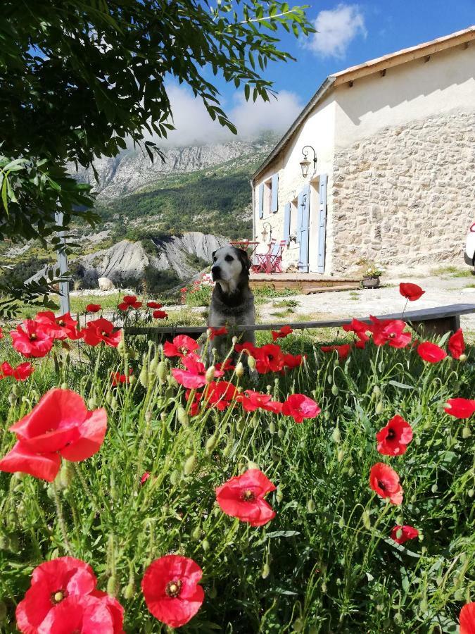 Gaïa, maison d'hôtes Verdon, vue féerique Blieux Esterno foto